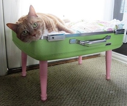 кровать для кошки из чемодана